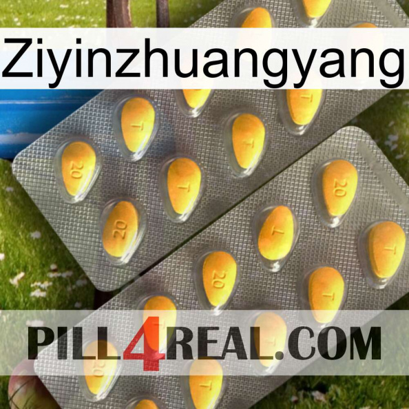 Ziyinzhuangyang cialis2.jpg